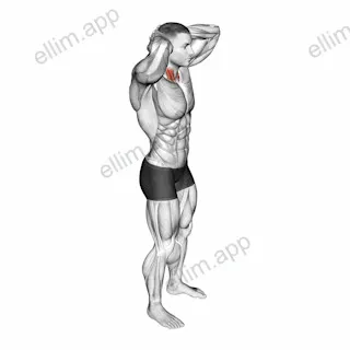 Posterior Neck Isometric exercise targeting Neck and Sternocleidomastoid