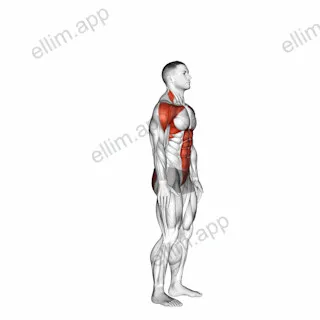 Posterior Step to Overhead Reach exercise targeting Plyometrics