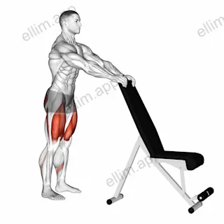 Potty Squat with Support exercise targeting Hips and Gluteus Maximus