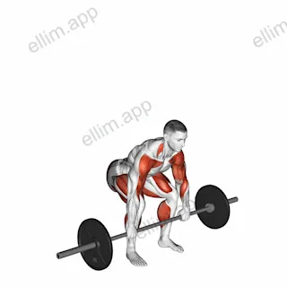 Power Clean exercise targeting Thighs and Adductor Magnus