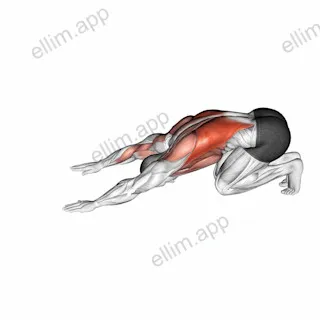 Power Push Aways exercise targeting Latissimus Dorsi and Pectoralis Major Clavicular Head