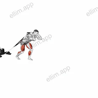 Power Sled Drag exercise targeting Weightlifting