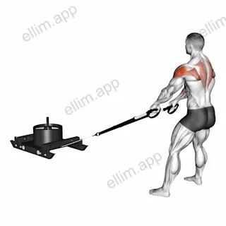 Power Sled High Pull exercise targeting Shoulders