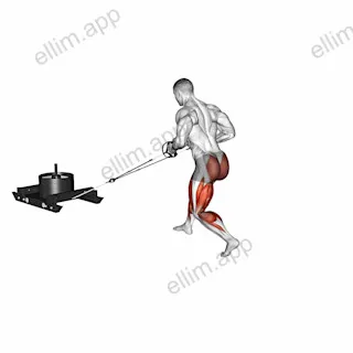 Power Sled Rear Batwing exercise targeting Thighs