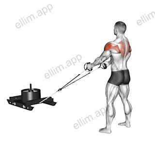 Power Sled Rear Fly exercise targeting Shoulders