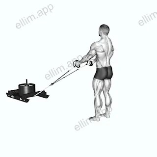 Power Sled Rear Lunge exercise targeting Hips