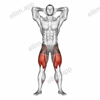 Prisoner Squat exercise targeting Thighs