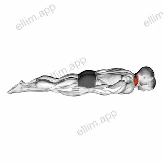 Prone Cervical Extension Isometric Hold exercise targeting Neck
