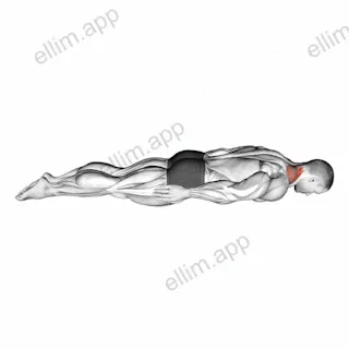 Prone Cervical Extension exercise targeting Neck