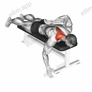 Prone Single Arm Trap Raise exercise targeting Back
