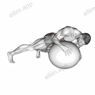 Prone Twist On Stability Ball exercise targeting Waist