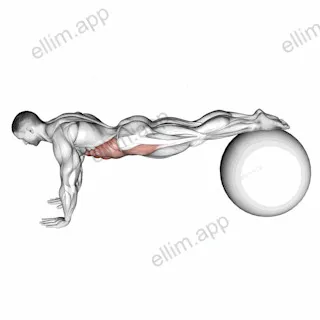 Pull In (on stability ball) exercise targeting Waist