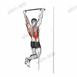 Pull up exercise targeting Back