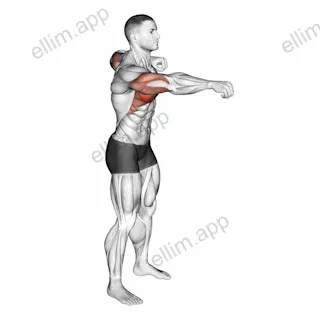 Push and Pull Bodyweight exercise targeting Chest