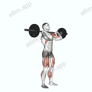 Push Press exercise targeting Shoulders and Deltoid Anterior