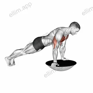 Push up (bosu ball) exercise targeting Chest