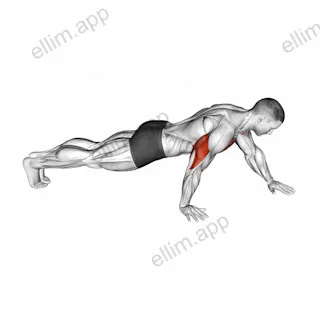 Push-up Hand by Hand exercise targeting Pectoralis Major Clavicular Head and Pectoralis Major Sternal Head