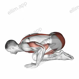 Push-up in Child Pose exercise targeting Chest