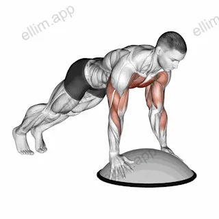 Push Up On Bosu Ball exercise targeting Chest
