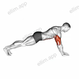 Push up on Forearms exercise targeting Upper Arms