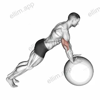 Push up (on stability ball) exercise targeting Chest