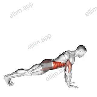 Push Up to Side Plank exercise targeting Waist