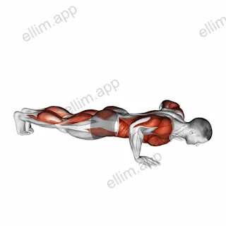Push-up Toe Touch exercise targeting Plyometrics