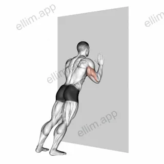 Push up (wall) exercise targeting Upper Arms