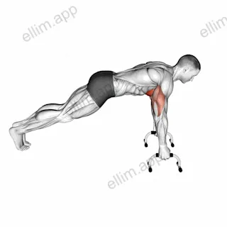 Push up (With push up handles) exercise targeting Chest
