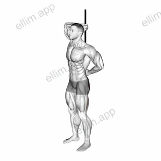 PVC Hip Hinge exercise targeting Hips and Gluteus Maximus