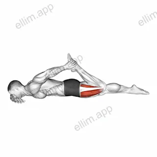 Quadriceps lying stretch exercise targeting Thighs and Quadriceps