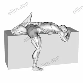 Quadriceps Stretch On Box exercise targeting Thighs