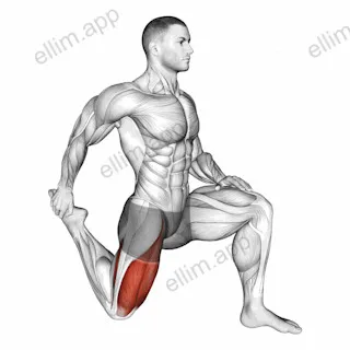 Quadriceps stretch exercise targeting Thighs and Quadriceps