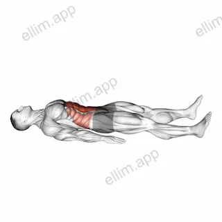 Quarter Sit-up exercise targeting Waist and Rectus Abdominis