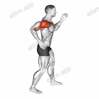 Quickly Swing Arms in place exercise targeting Shoulders and Deltoid Anterior