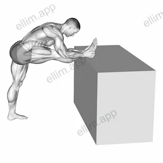 Raised Leg Knee Flexor Stretch exercise targeting Thighs