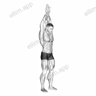 Reach up back stretch exercise targeting Back