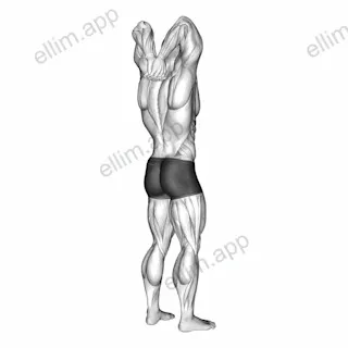 Reaching Down Triceps Stretch exercise targeting Upper Arms