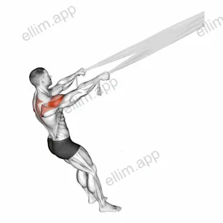 Rear Delt Fly with Bed Sheet exercise targeting Shoulders and Deltoid Posterior