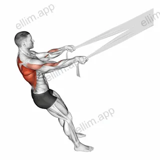 Rear Delt Row with Bed Sheet exercise targeting Back and Infraspinatus