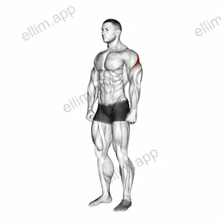 Rear Deltoid Stretch exercise targeting Shoulders and Deltoid Posterior