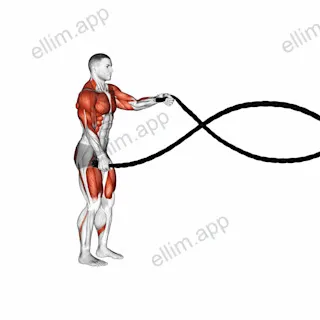 Rear Lunge with Battling Ropes exercise targeting Plyometrics