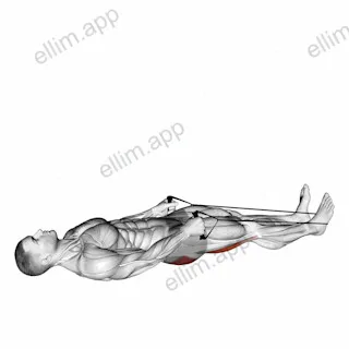 Reclining Big Toe Pose with Rope exercise targeting Thighs