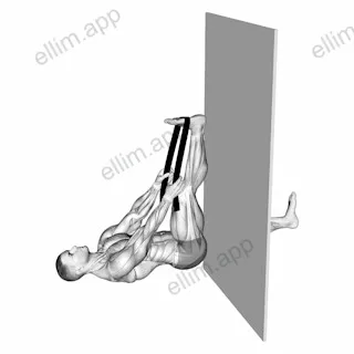 Recumbent Knee Flexor Stretch With Towel exercise targeting Thighs