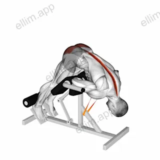 Resistance Band 45 degrees Hyperextension exercise targeting Hips