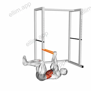 Resistance Band Anti Rotation Dead Bug exercise targeting Waist