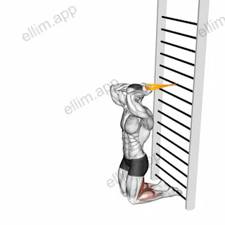 Resistance Band Assisted Nordic Hamstring Curl exercise targeting Thighs