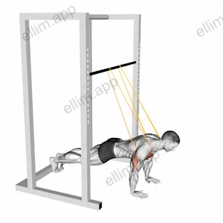 Resistance Band Assisted Push-up exercise targeting Chest and Pectoralis Major Clavicular Head
