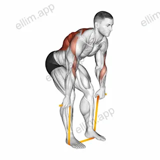Resistance Band Bent Over Row exercise targeting Back
