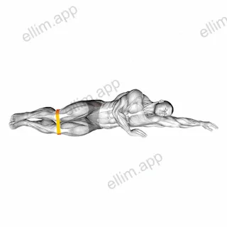 Resistance Band Clam exercise targeting Hips and Gluteus Medius